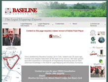 Tablet Screenshot of baselinesurveys.ie